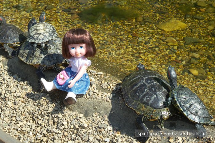 Прокати меня большая черепаха...или почему я хожу гулять только с игровыми куклами (фото 8)