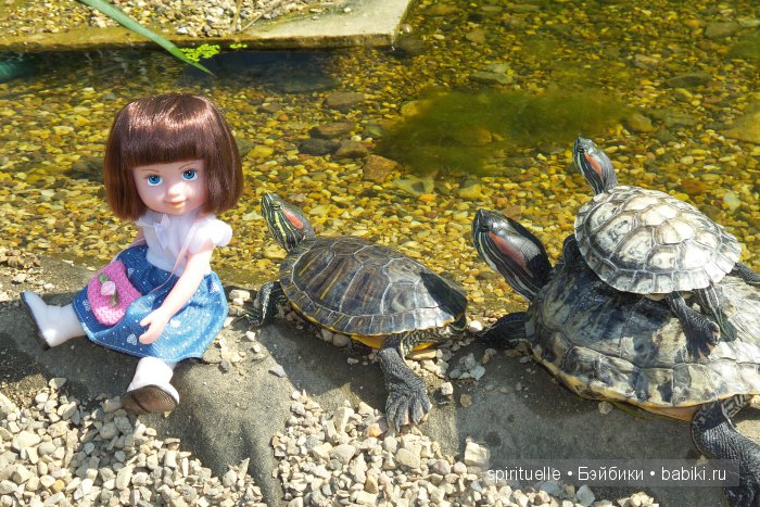 Прокати меня большая черепаха...или почему я хожу гулять только с игровыми куклами (фото 7)