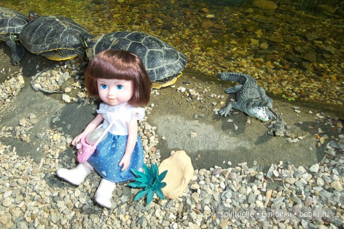 Прокати меня большая черепаха...или почему я хожу гулять только с игровыми куклами