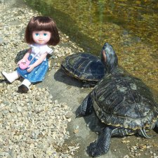 Прокати меня большая черепаха...или почему я хожу гулять только с игровыми куклами!