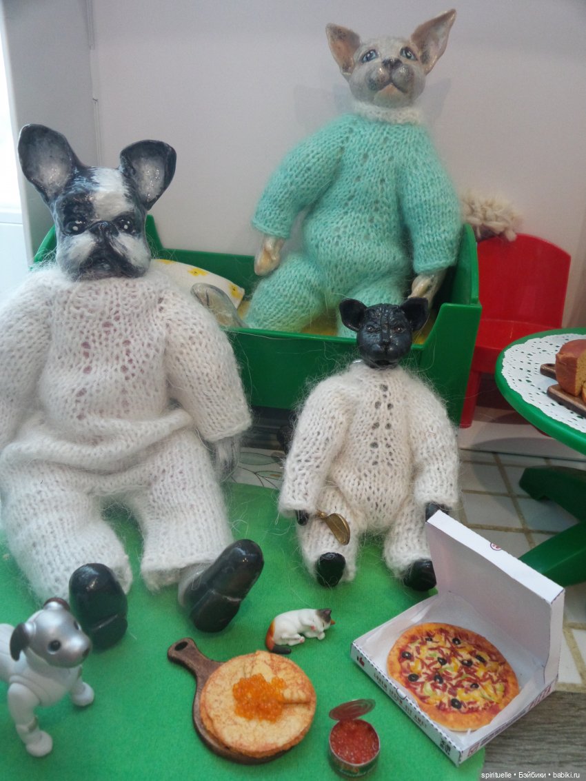 Обычный день одной кошки и одной собаки