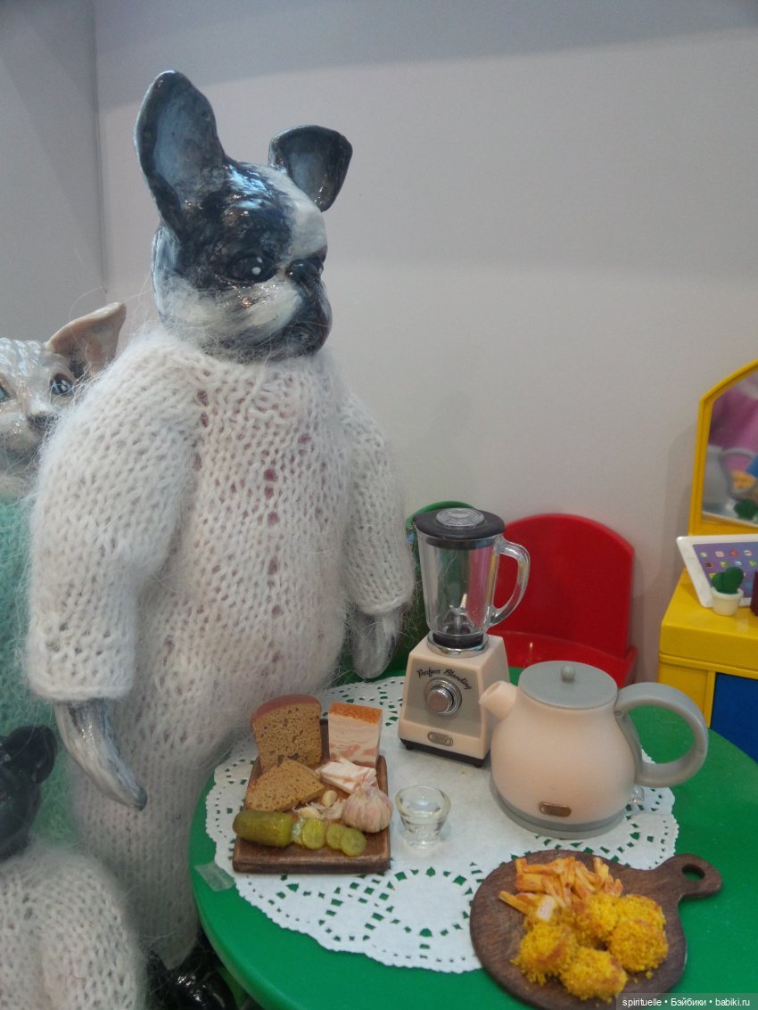 Обычный день одной кошки и одной собаки