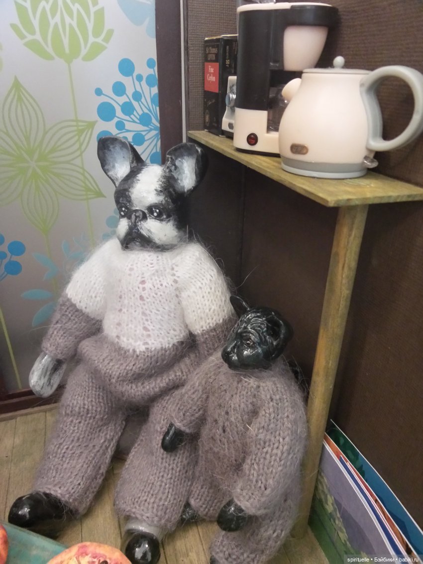 Один день из жизни нового дома