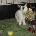 Юннаты - Рен и Ран