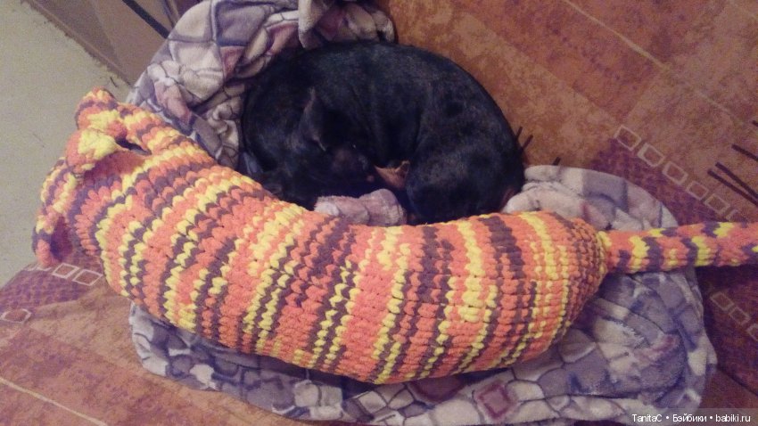 Рыжый полосатый — Вязаные игрушки и амигуруми: крючком (фото 10)