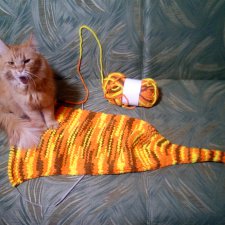 Рыжый полосатый