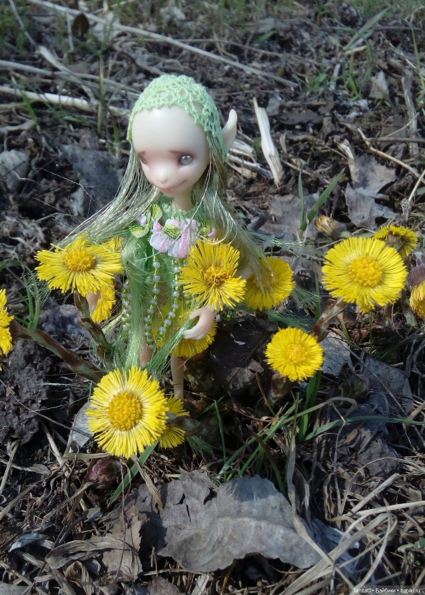 На прогулке с феями и с собакой (bjd dreamhighstudio)