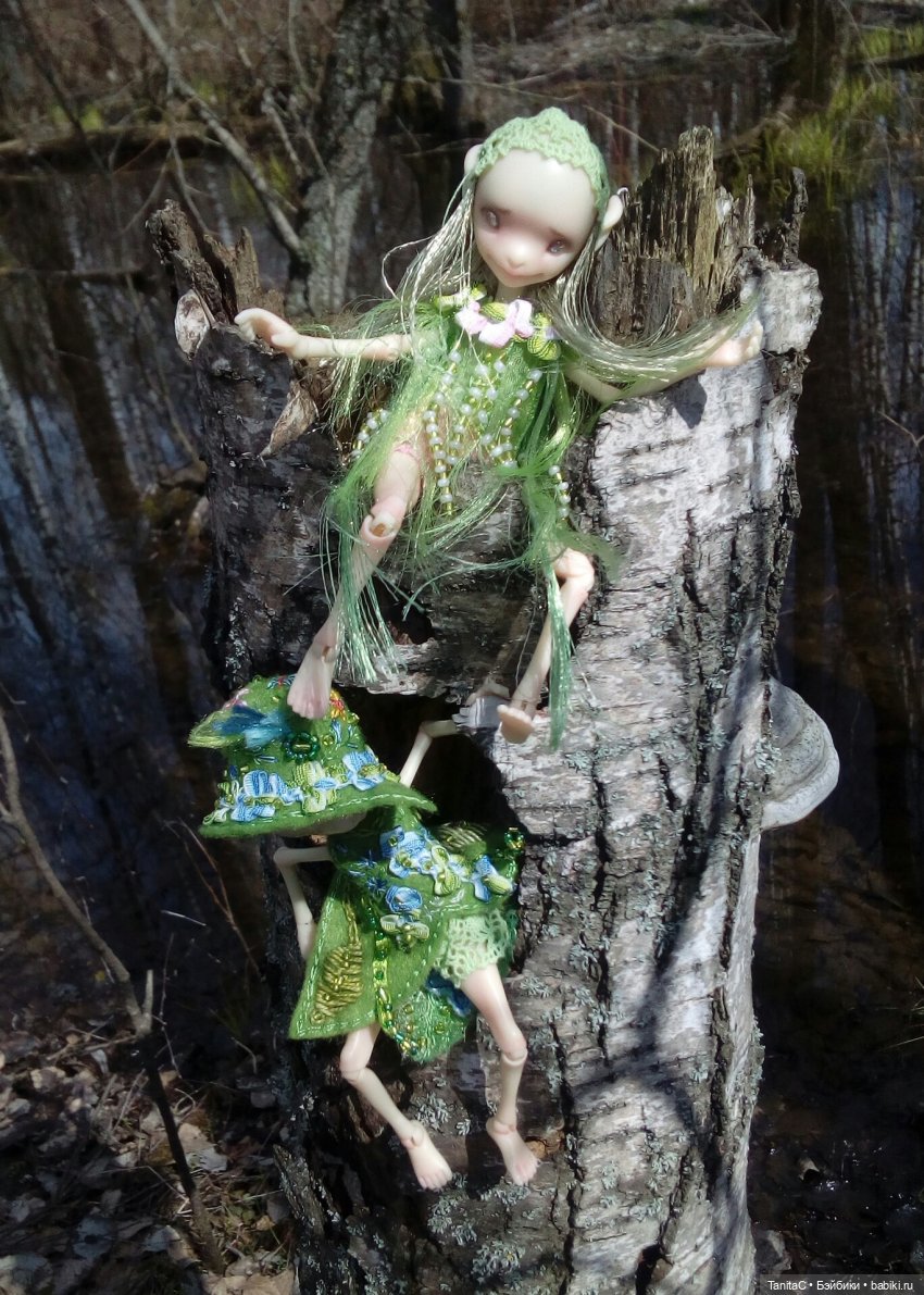 На прогулке с феями и с собакой (bjd dreamhighstudio)