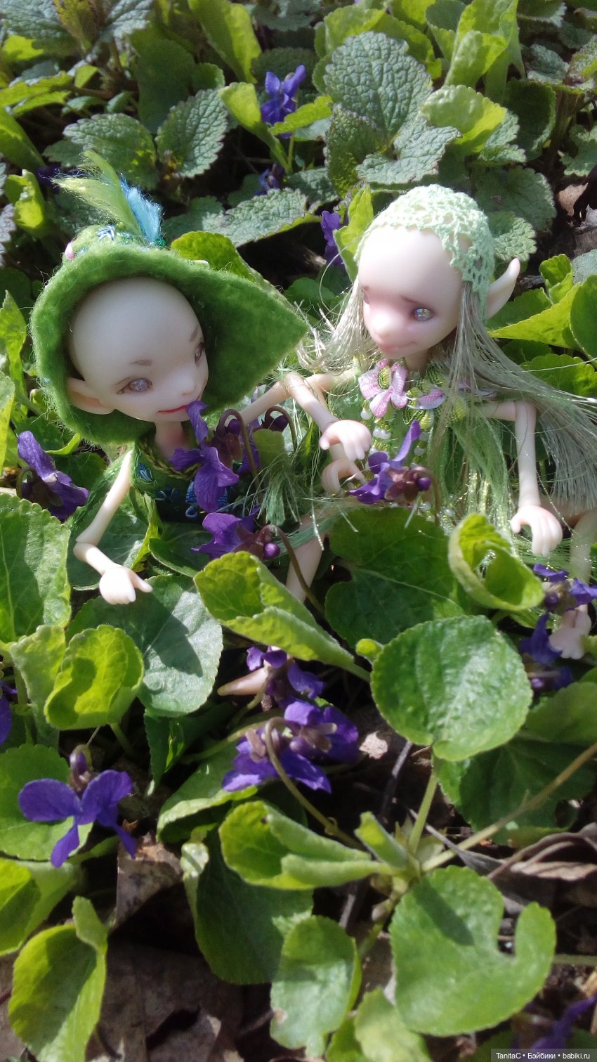 На прогулке с феями и с собакой (bjd dreamhighstudio) (фото 3)