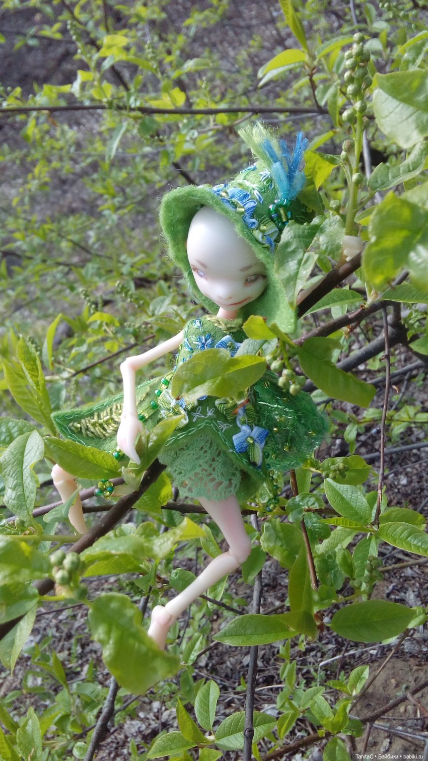 На прогулке с феями и с собакой (bjd dreamhighstudio) (фото 6)