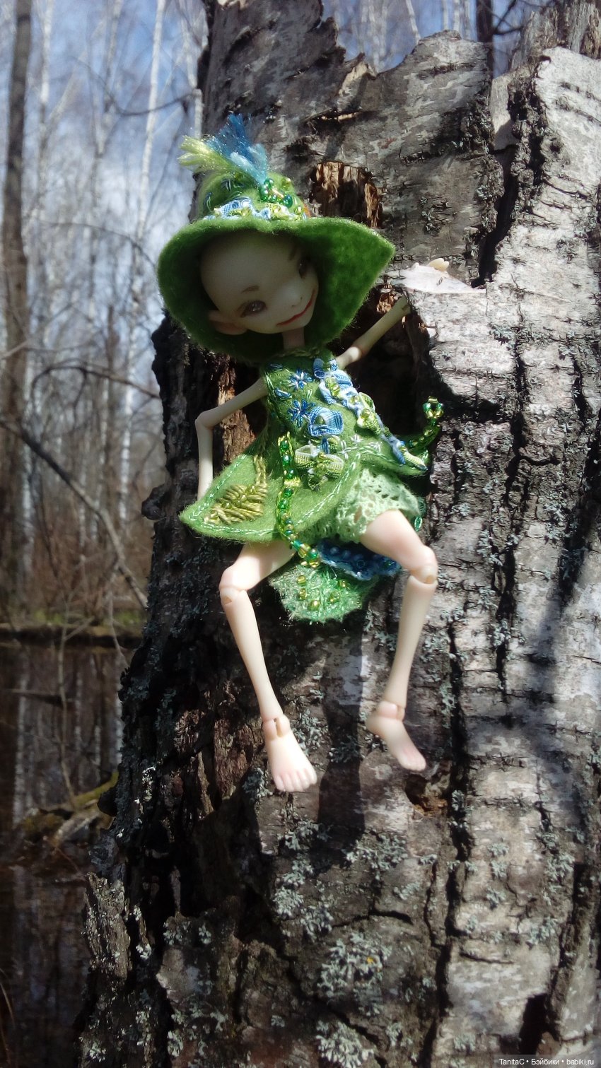 На прогулке с феями и с собакой (bjd dreamhighstudio)