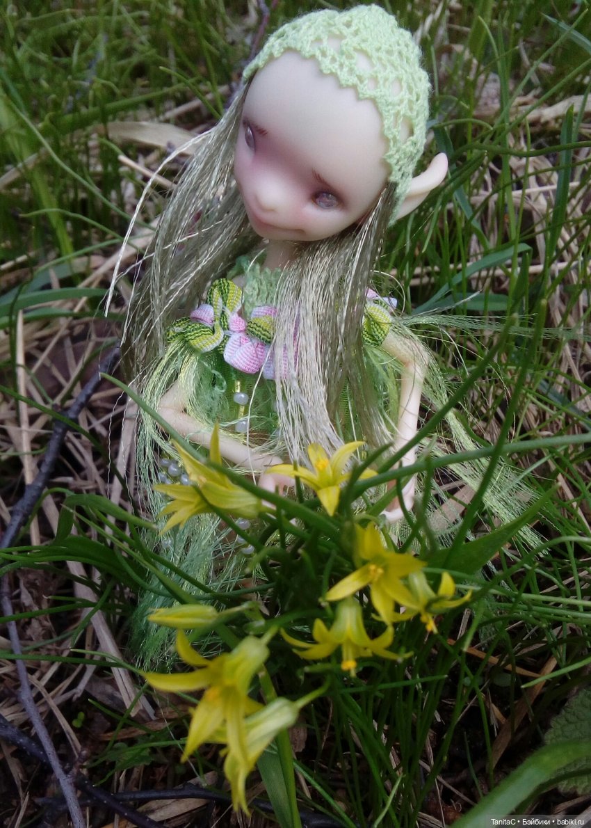 На прогулке с феями и с собакой (bjd dreamhighstudio)