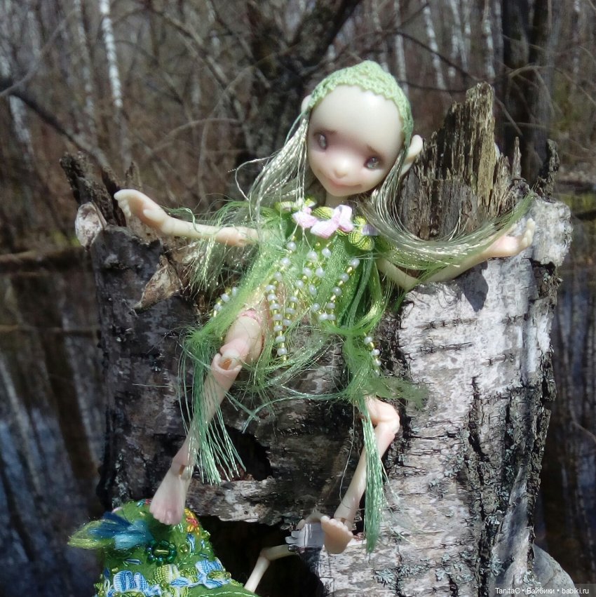 На прогулке с феями и с собакой (bjd dreamhighstudio)