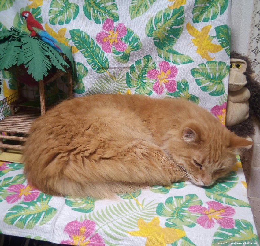 Обновлённый Бу Бу с новой подружкой ЛуЛу (ООАК Minimon del Mundo)