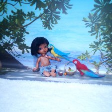 Роби (ООАК куклы Лили)