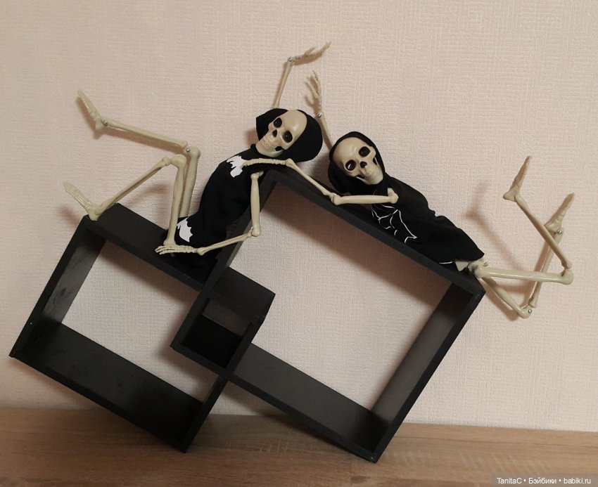 Косточки в подарок (анатомическое пособие 40см) (фото 3)