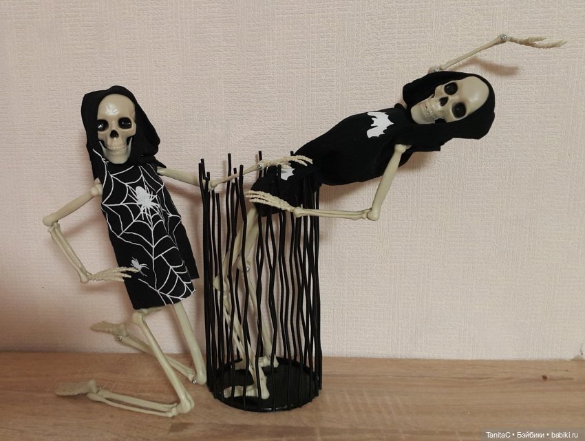 Косточки в подарок (анатомическое пособие 40см) (фото 4)