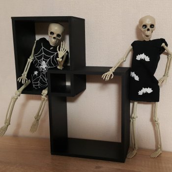 Косточки в подарок (анатомическое пособие 40см)