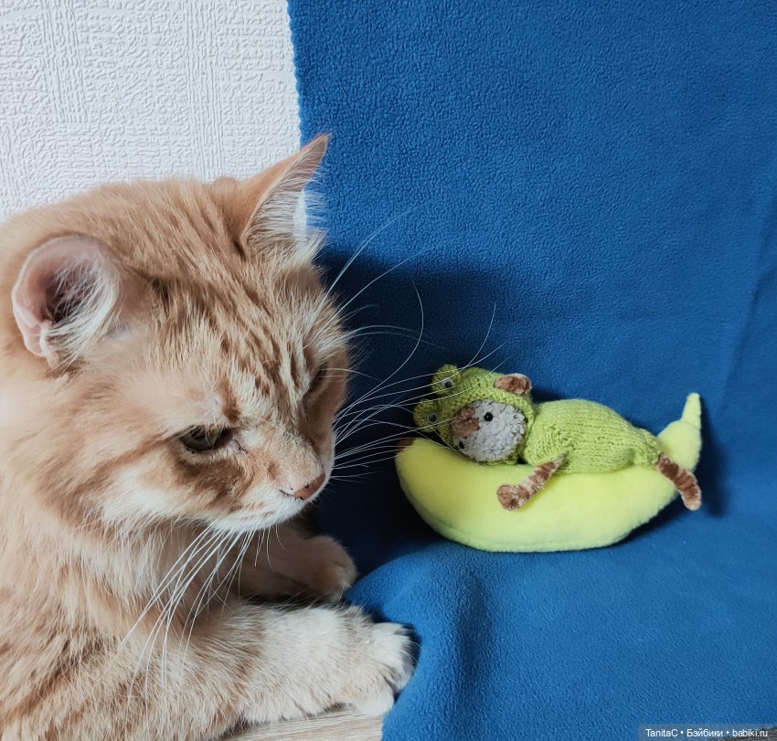 Лучший мой подарочек - это ты (фото 4)