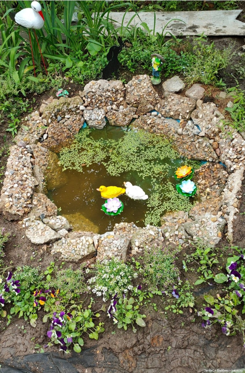 Лягушатник (прудик своими руками)