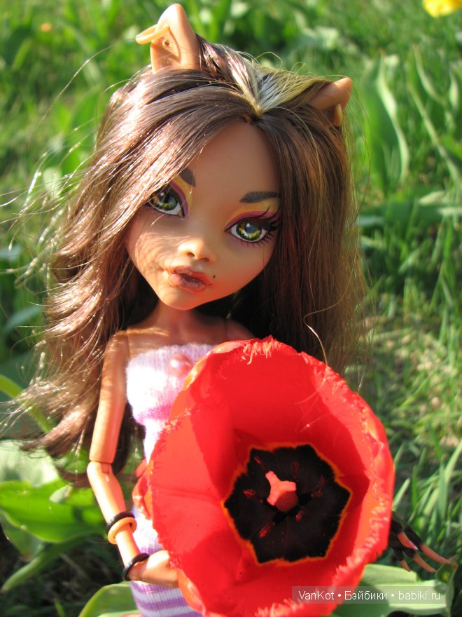 Новая старая Корица. Clawdeen Wolf, Monster High