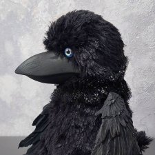 Черный ворон