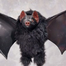 Летучая мышь