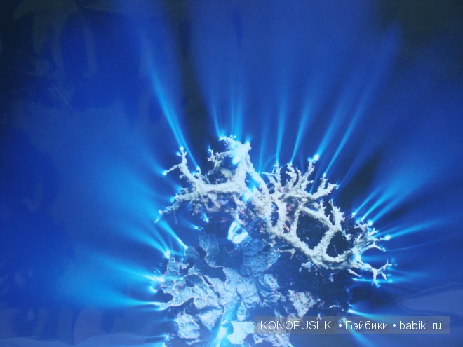 Есть ли аура у кукол — Болталка и разговоры обо всем: жизнь