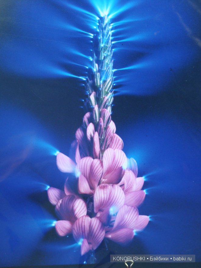 Есть ли аура у кукол — Болталка и разговоры обо всем: жизнь (фото 2)