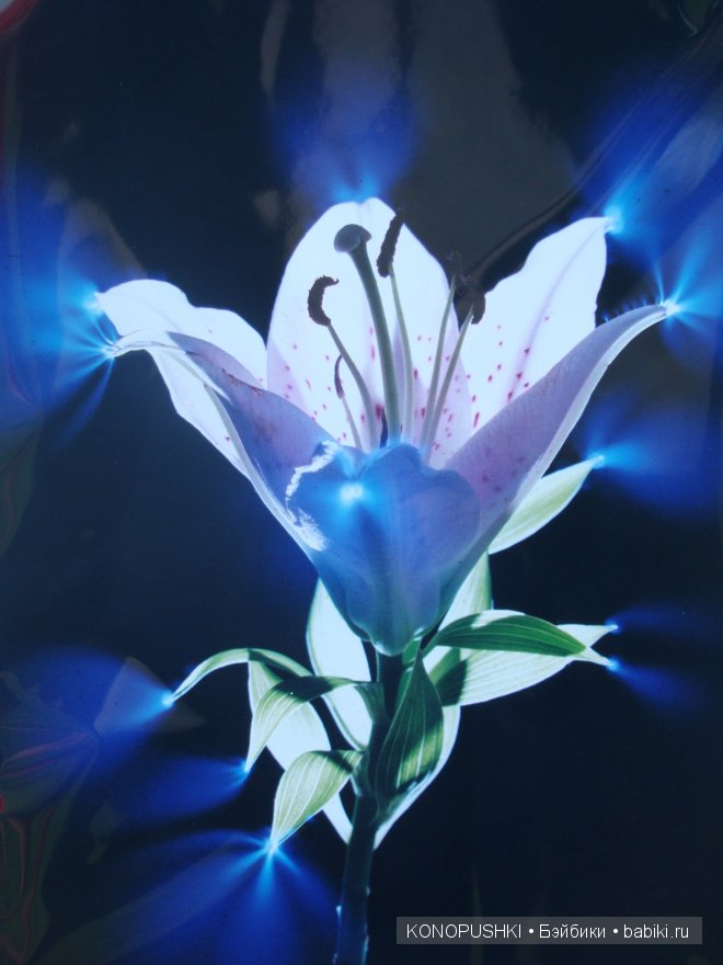 Есть ли аура у кукол — Болталка и разговоры обо всем: жизнь (фото 10)