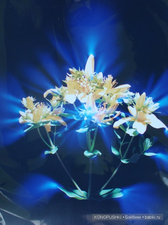 Есть ли аура у кукол — Болталка и разговоры обо всем: жизнь (фото 8)