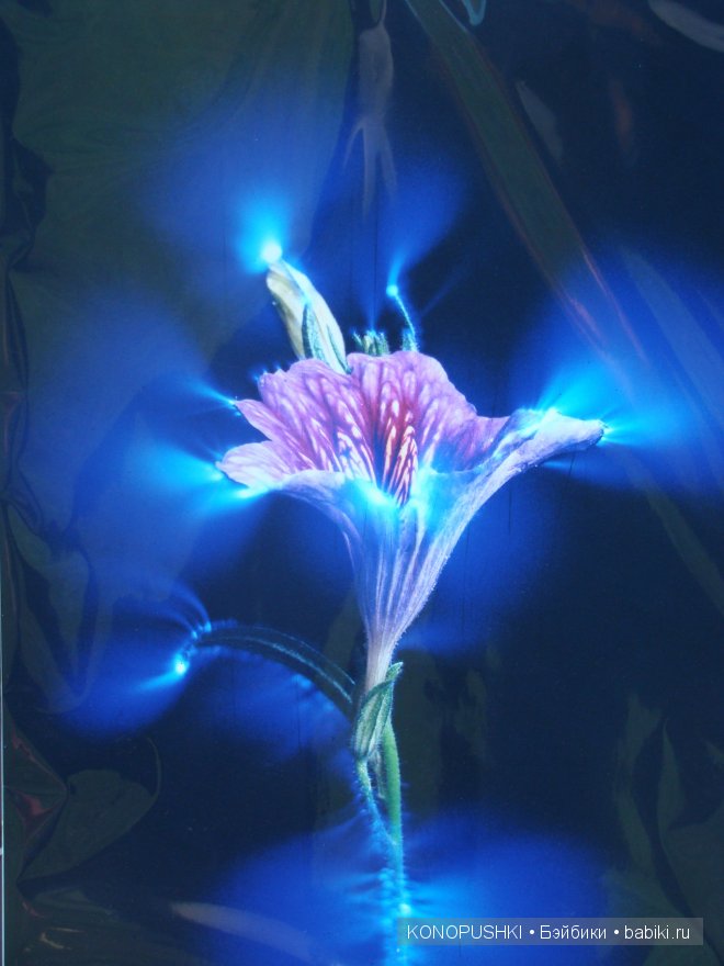 Есть ли аура у кукол — Болталка и разговоры обо всем: жизнь (фото 7)