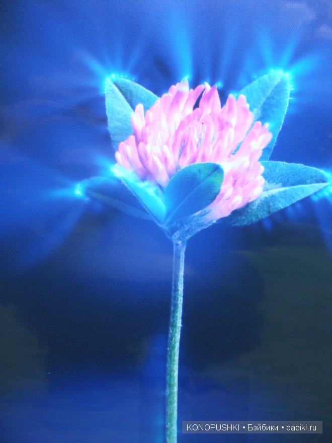 Есть ли аура у кукол — Болталка и разговоры обо всем: жизнь (фото 5)