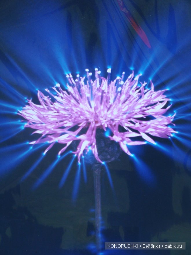 Есть ли аура у кукол — Болталка и разговоры обо всем: жизнь (фото 9)