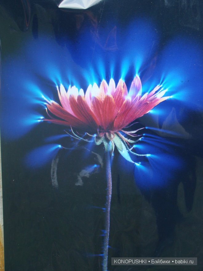 Есть ли аура у кукол — Болталка и разговоры обо всем: жизнь