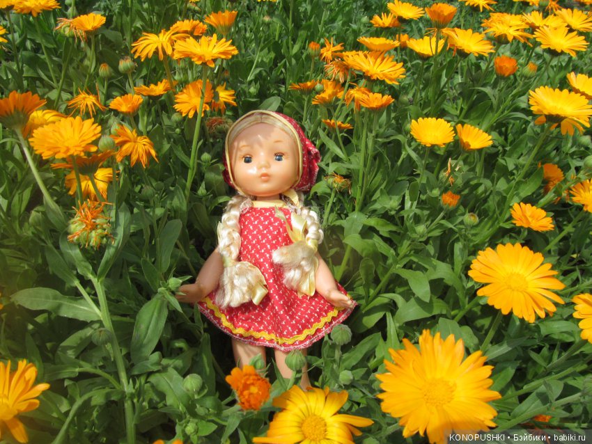 Давайте уточним, откуда родом новенькая Алёнушка (фото 6)