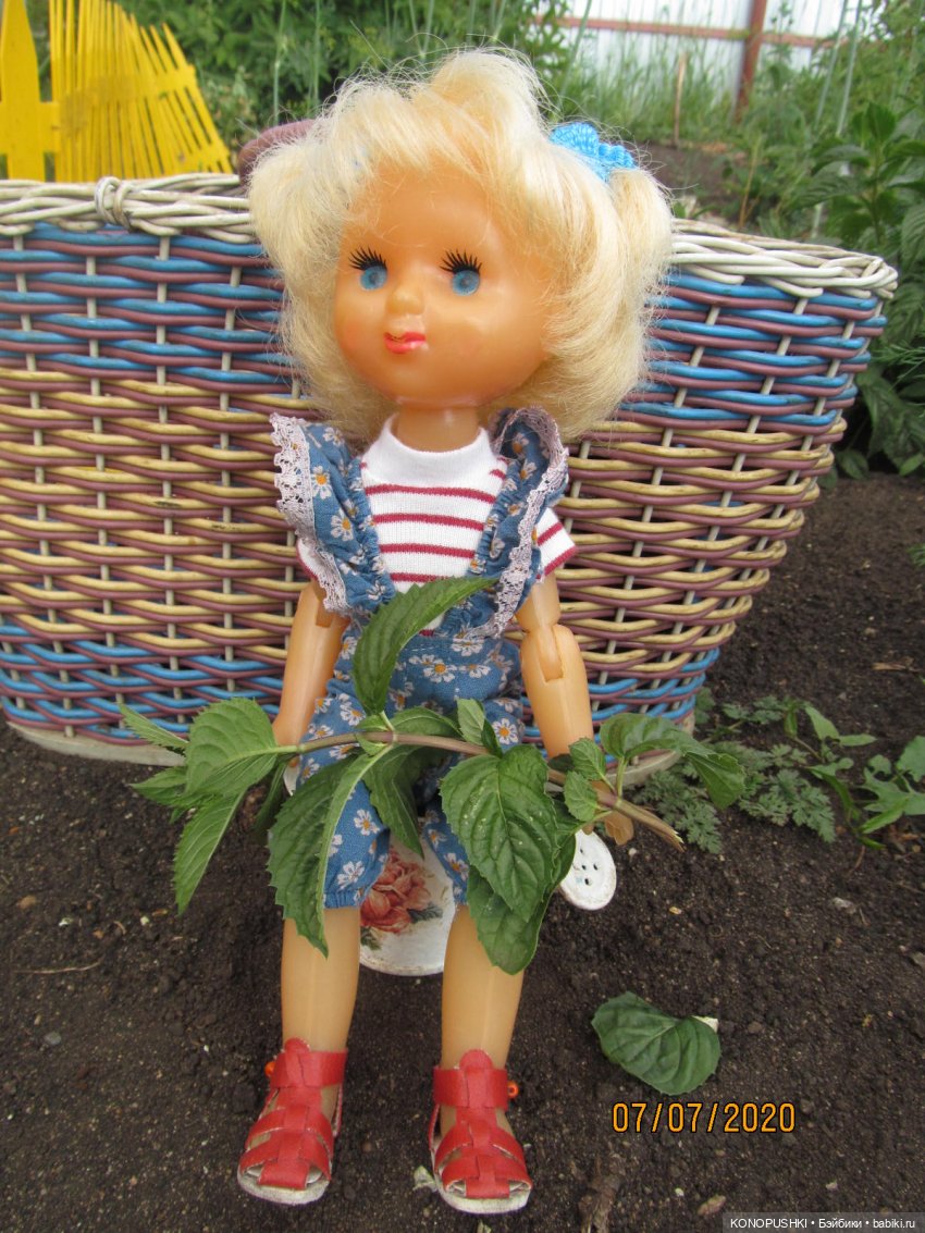 Любимые шарнирочки. Вспоминаем лето 2020 | Бэйбики Любимые шарнирочки. Вспоминаем лето 2020