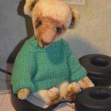 Мои новые опилочные мишки... малыши