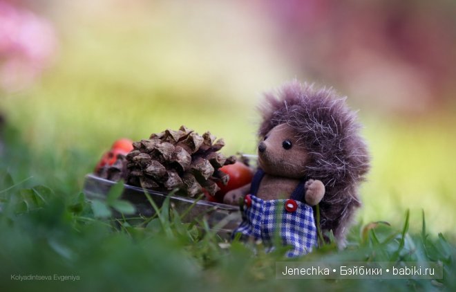 История "Мой новый маленький друг". В главной роли кукла фирмы Azone