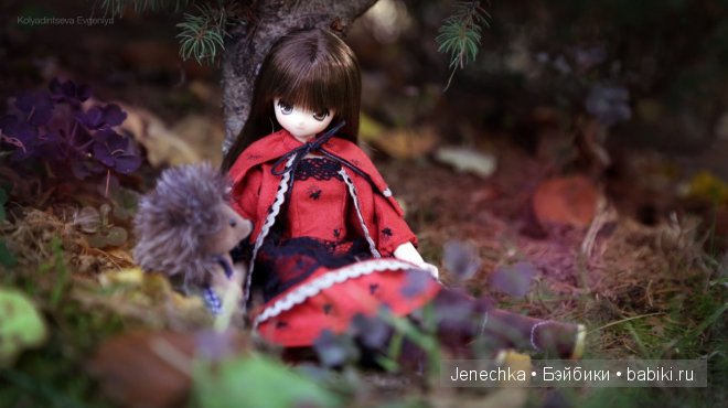 История "Мой новый маленький друг". В главной роли кукла фирмы Azone (фото 9)