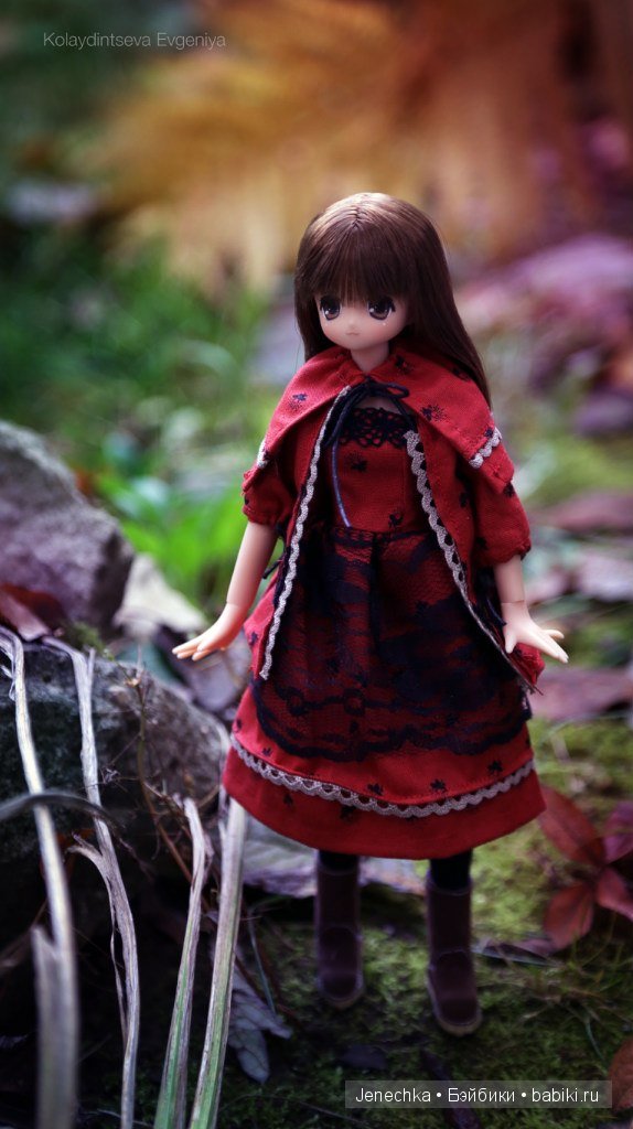 История "Мой новый маленький друг". В главной роли кукла фирмы Azone