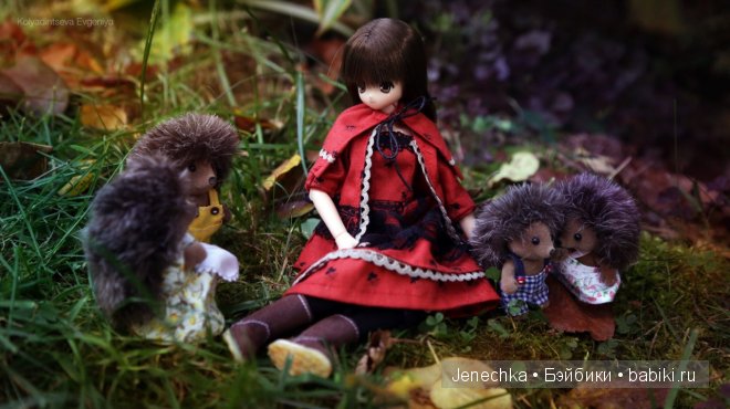 История "Мой новый маленький друг". В главной роли кукла фирмы Azone
