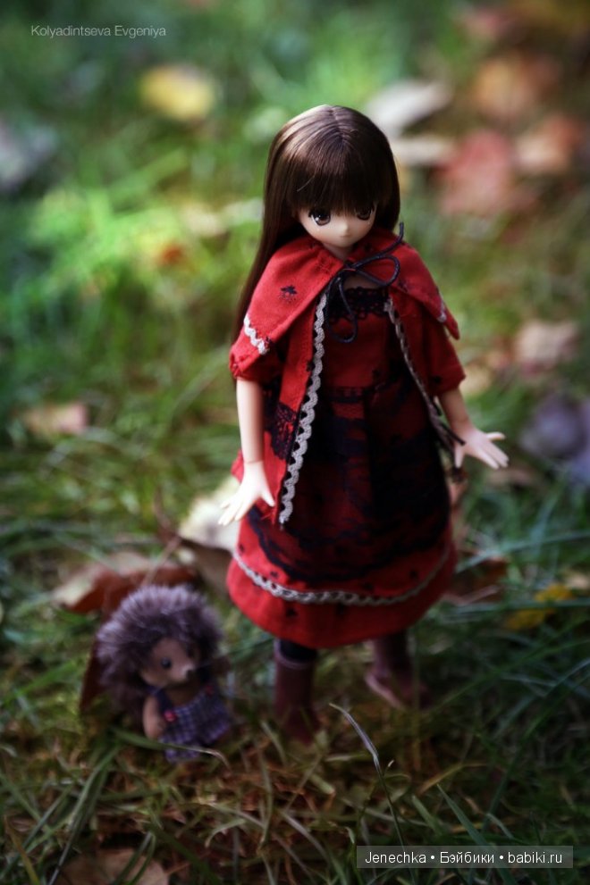 История "Мой новый маленький друг". В главной роли кукла фирмы Azone