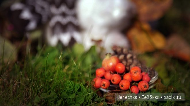 История "Мой новый маленький друг". В главной роли кукла фирмы Azone