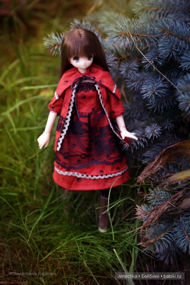 История "Мой новый маленький друг". В главной роли кукла фирмы Azone (фото 3)