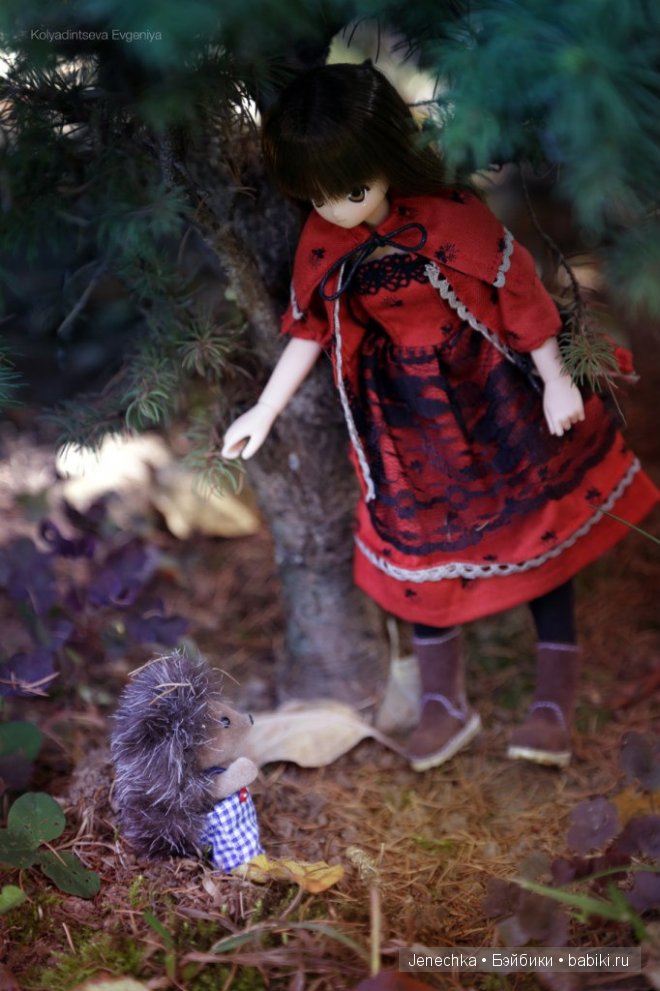 История "Мой новый маленький друг". В главной роли кукла фирмы Azone (фото 7)