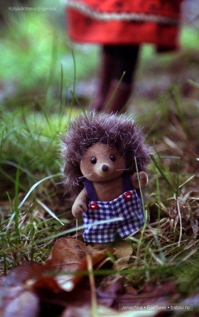 История "Мой новый маленький друг". В главной роли кукла фирмы Azone