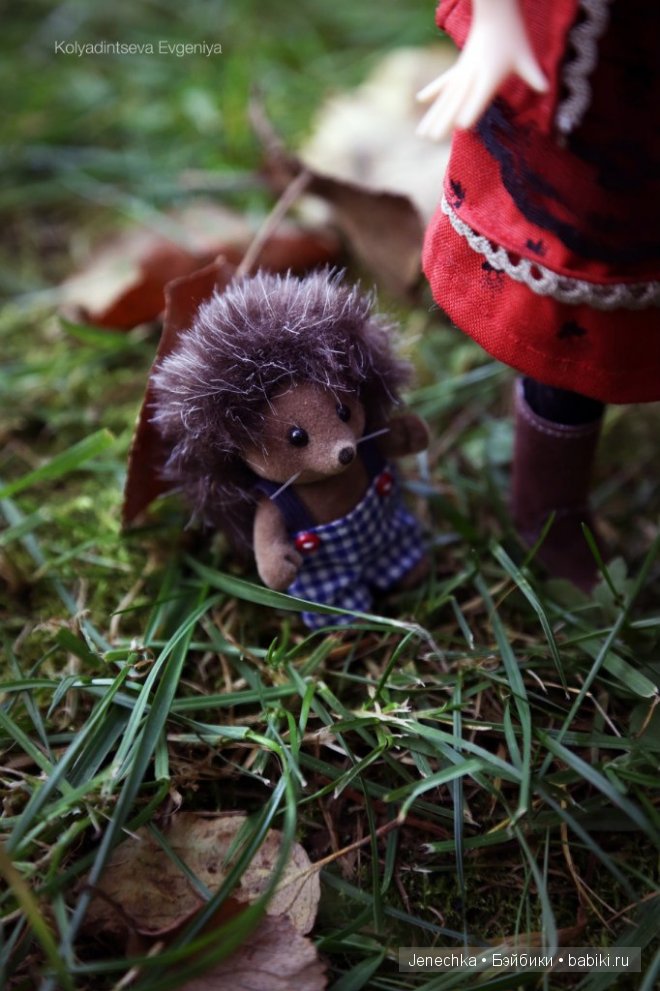 История "Мой новый маленький друг". В главной роли кукла фирмы Azone