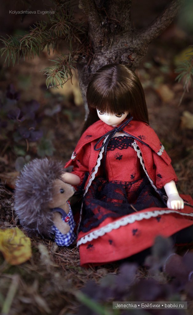 История "Мой новый маленький друг". В главной роли кукла фирмы Azone (фото 8)