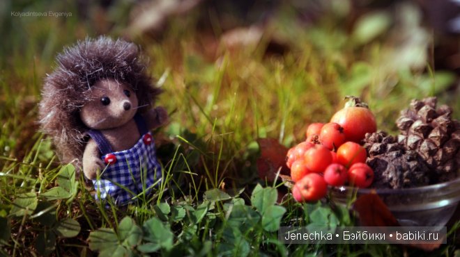 История "Мой новый маленький друг". В главной роли кукла фирмы Azone